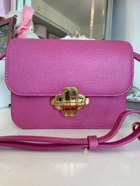 Maje NWT clover Bag in Pink